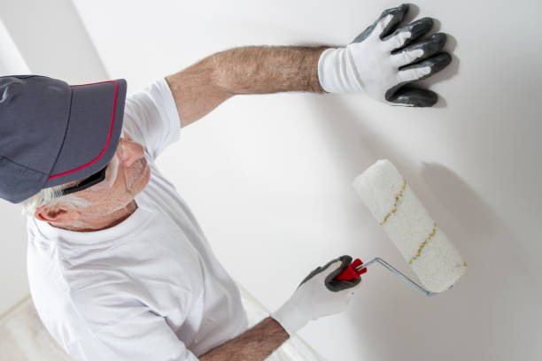 Best Attic Mold Removal  in Jefferson, WI