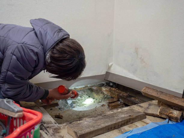 Best Asbestos and Lead Testing During Mold Inspection  in Jefferson, WI