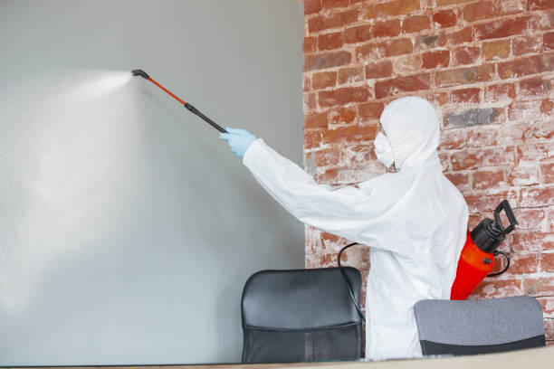 Best Mold-Related Health Consultation  in Jefferson, WI