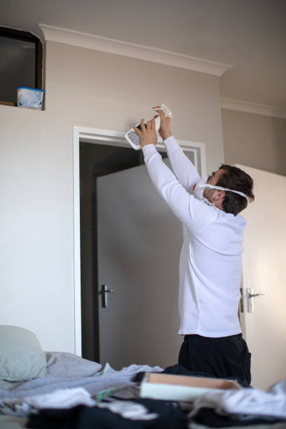 Best Emergency Mold Remediation  in Jefferson, WI