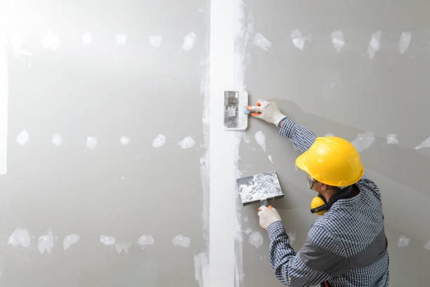 Best Industrial Mold Remediation  in Jefferson, WI