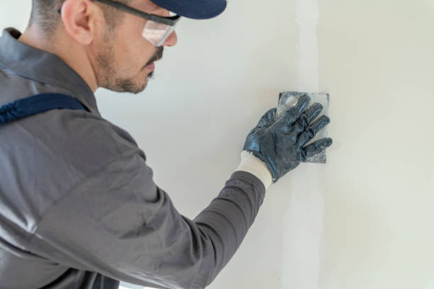 Best Mold Documentation for Insurance Claims  in Jefferson, WI
