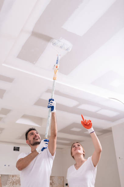 Best Mold Removal for HVAC Installations  in Jefferson, WI