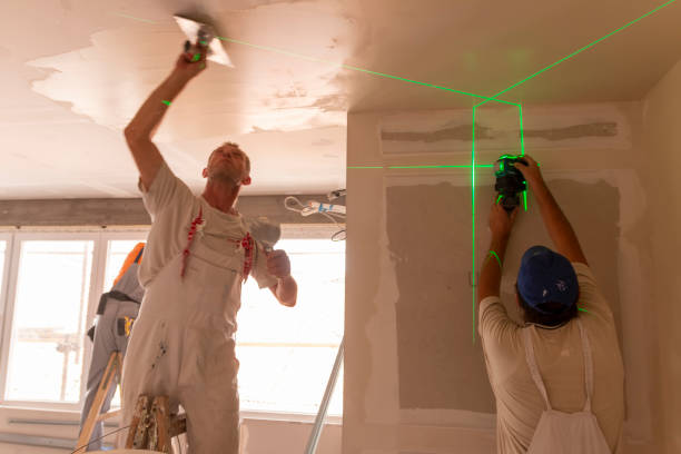 Best Attic Mold Removal  in Jefferson, WI