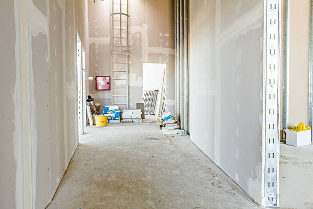Best Environmental Consulting for Mold Prevention  in Jefferson, WI