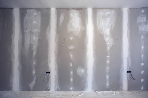Trusted Jefferson, WI Mold Removal Experts